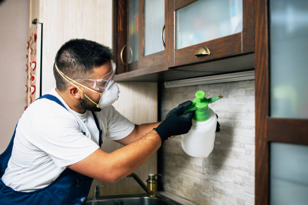 Mehlville, MO Pest Control Company