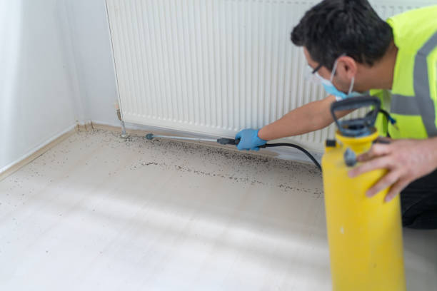 Best Pest Inspection Near Me  in Mehlville, MO